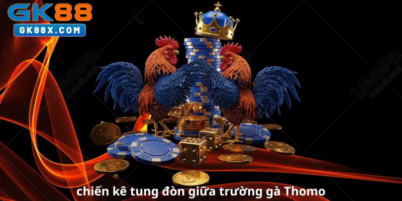 chien-ke-tung-don-giua-truong-ga-thomo