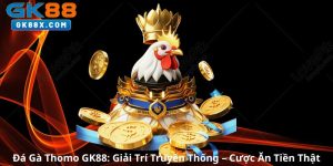 da-ga-thomo-gk88-giai-tri-truyen-thong-cuoc-an-tien-that